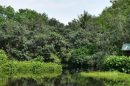 Sungei Buloh Wetland Reserve