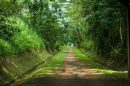 Bukit Timah Nature Reserve