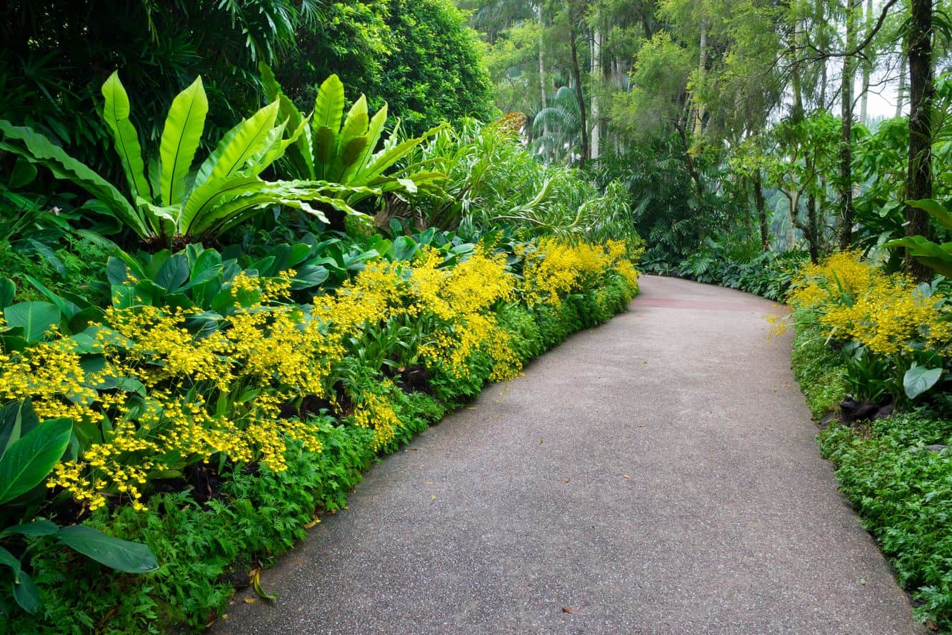 National Orchid Garden Singapore - Ticket Price & Opening Hours