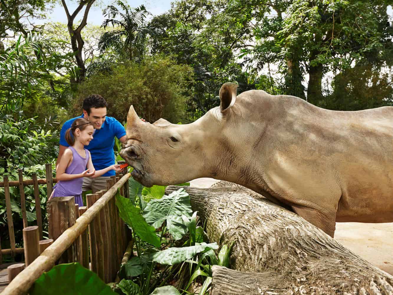 Singapore Zoo Ticket Price Entrance Fee Opening Hours Map