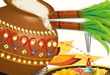 Pongal Harvest Festival